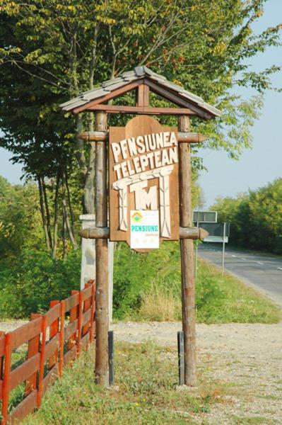Pension Teleptean Окна-Шугатаг Екстер'єр фото